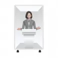 AI Digital Human